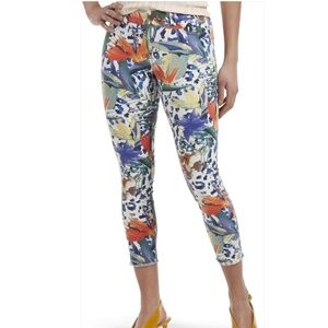 Hue Jeggings